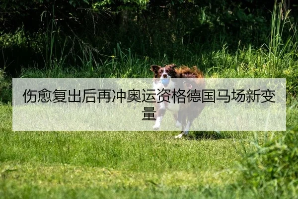 伤愈复出后再冲奥运资格德国马场新变量
